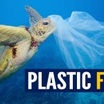 Immagine campagna Plastic Free